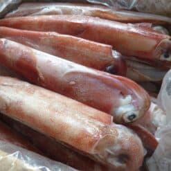 ava mực ống thước rời