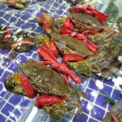 ava cua cốm