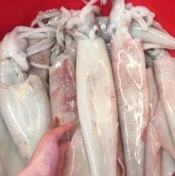 ava mực thước 3-4