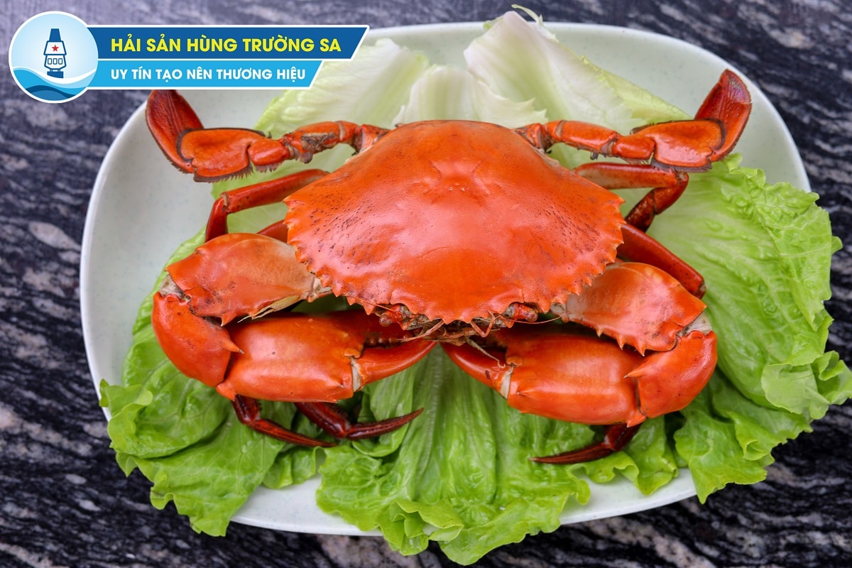 hùng trường sa 12