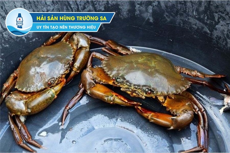 bảo quản cua