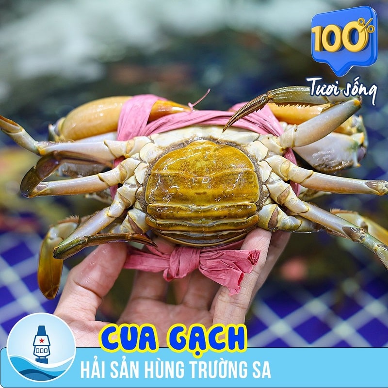 cua gạch tươi sống