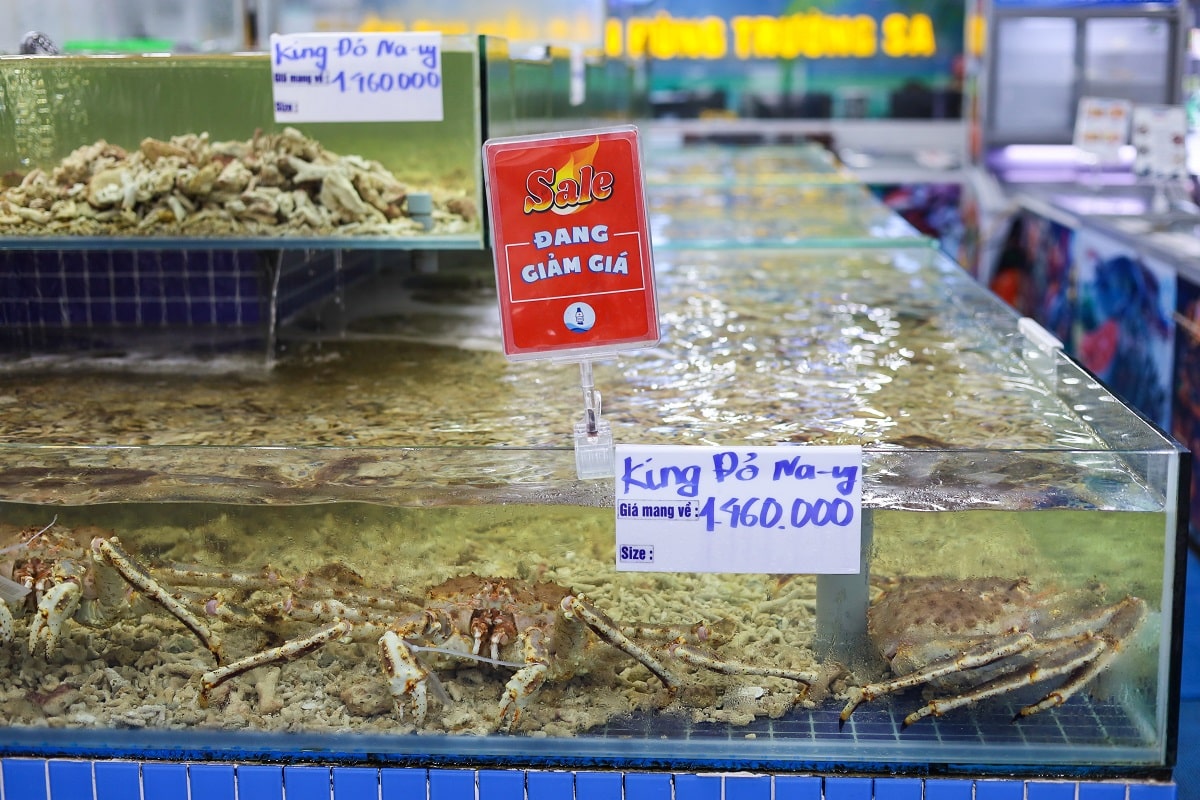 hùng trường sa 20