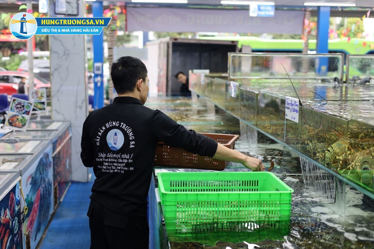 hải sản tươi sống nhập khẩu đa dạng