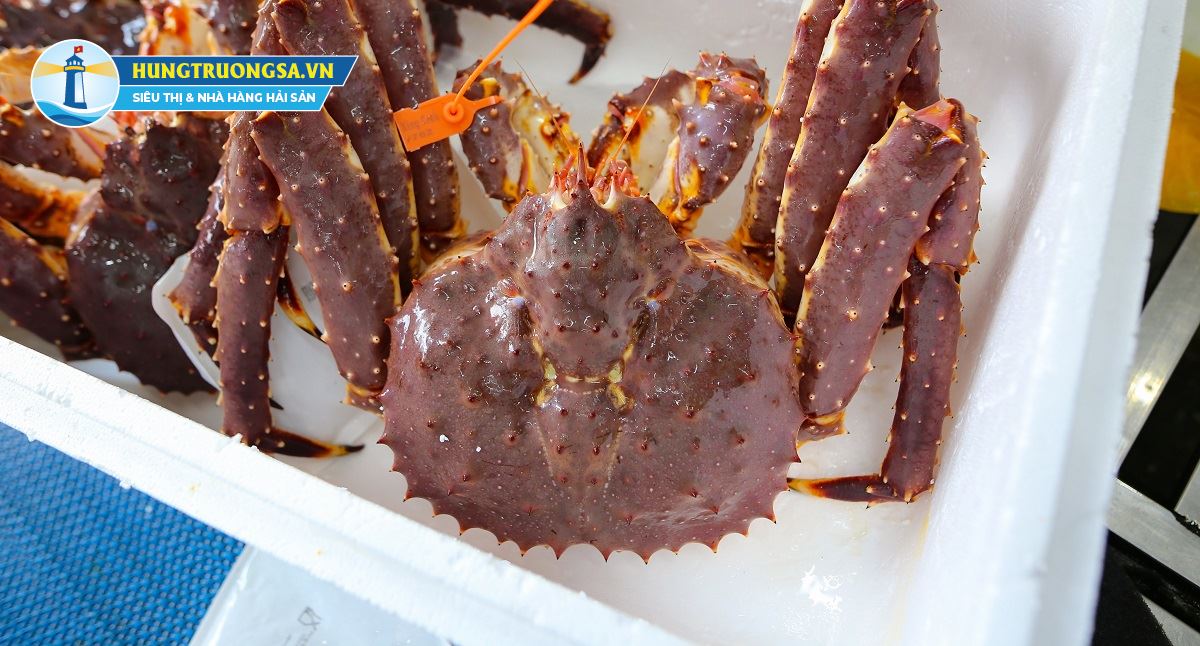 hải sản nhập khẩu tươi sống