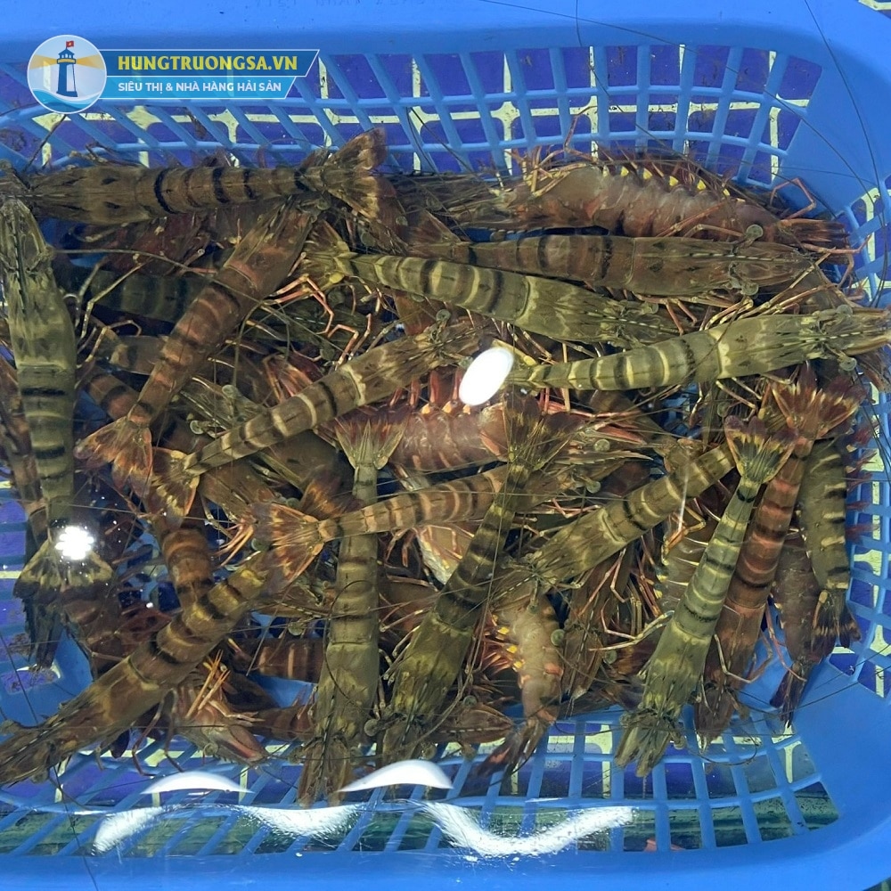 tôm các loại