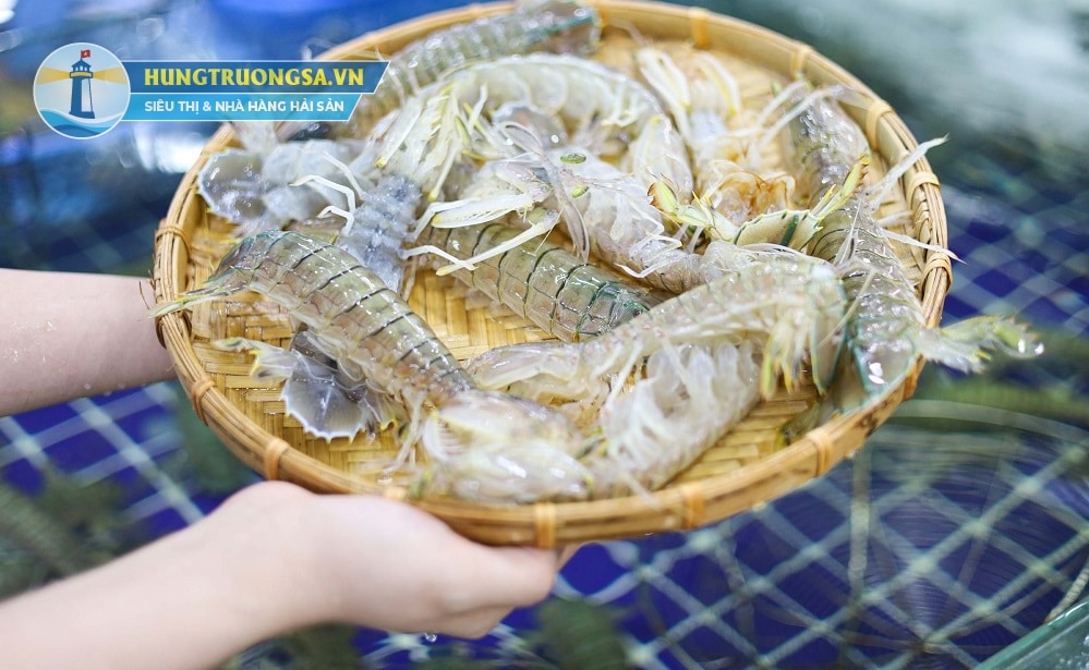 tôm tươi các loại