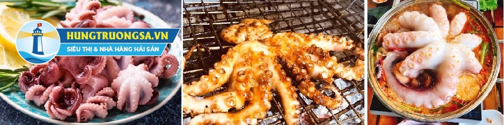 bạch tuộc làm món gì ngon