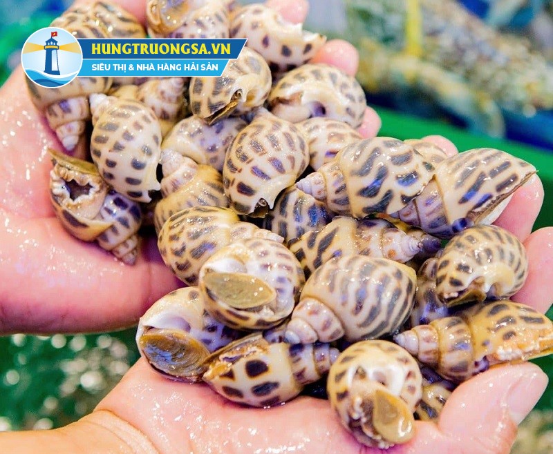 cách làm sạch ốc