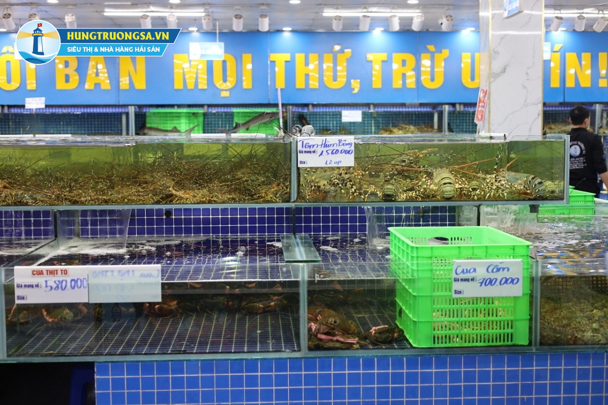 mua tôm hùm tươi sống ở đâu