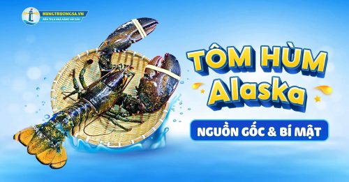 tom hum alsaka nguon goc va bi mat hts