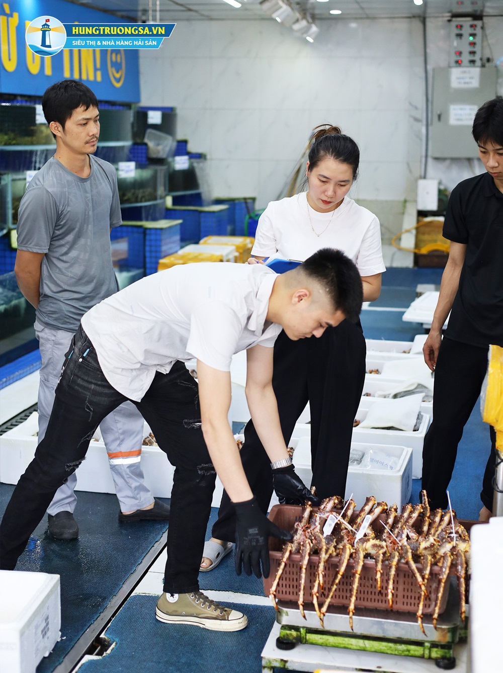 cách chọn cua hoàng đế ngon 1