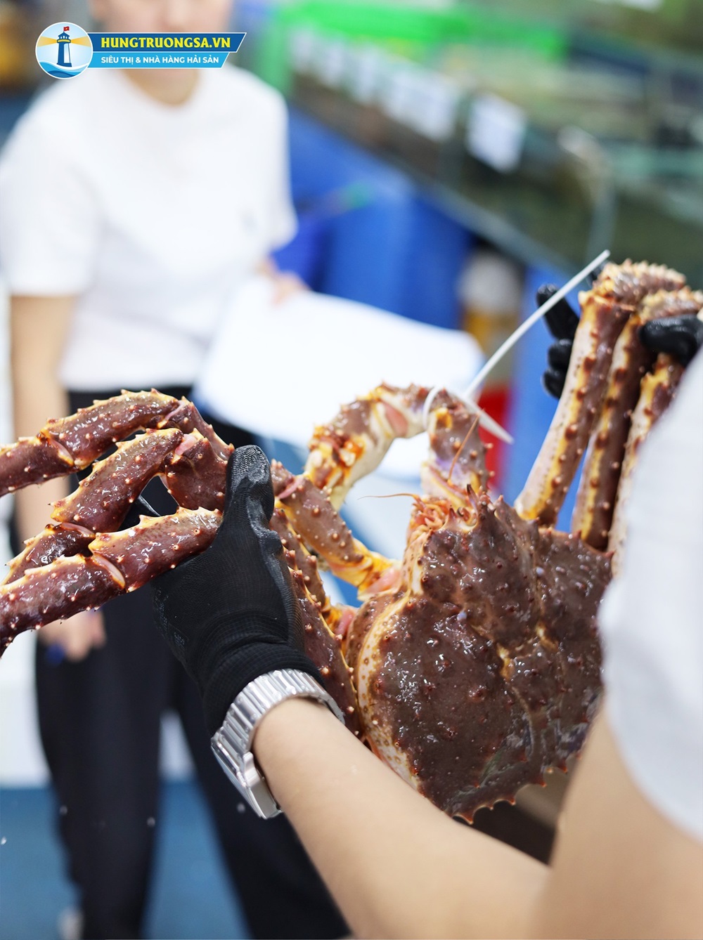 cách chọn cua hoàng đế ngon