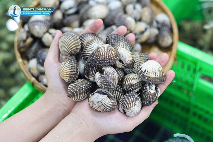 cách làm sò huyết sốt thái