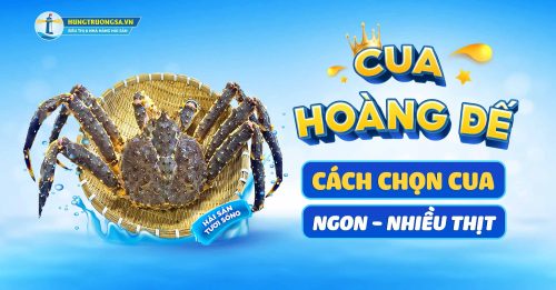 cach chon cua hoang de ngon hts
