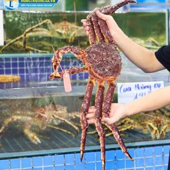 cua hoàng đế
