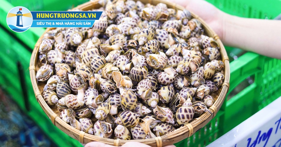 hấp ốc hương