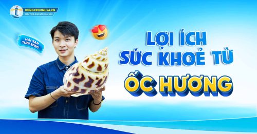 loi ich suc khoe tu oc huong hts