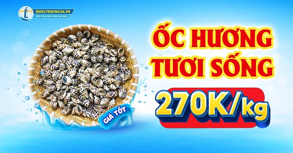 ốc hương giá 270000