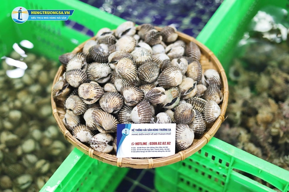 sò huyết xào