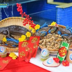 combo gia đình