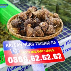ốc miệng rộng
