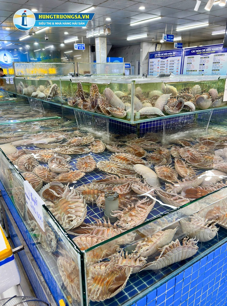 bọ biển làm món gì ngon nhất