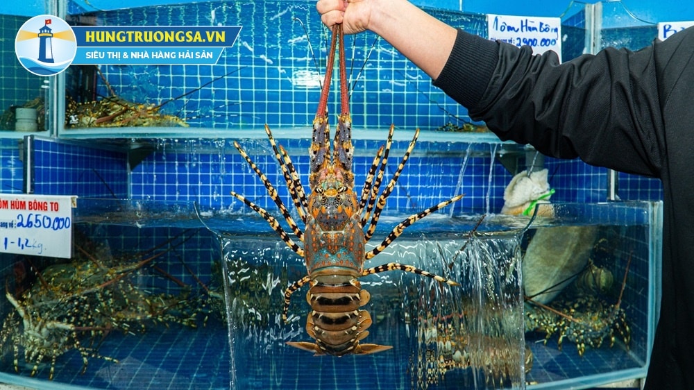 tôm hùm bông nướng mọi 1