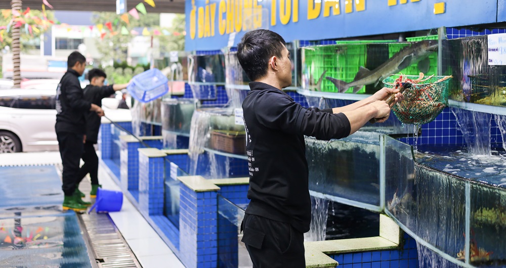 giá hải sản tháng 4/2024 mới nhất 