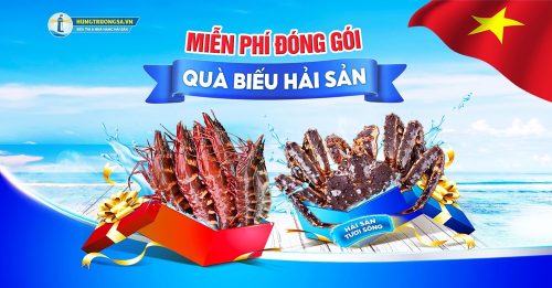 miễn phí đóng gói quà biếu
