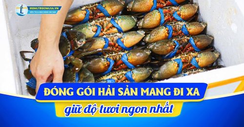 vận chuyển hải sản mang đi xa