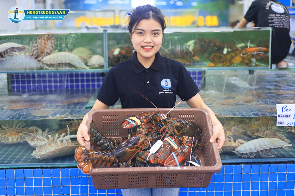 mua tôm hùm alaska ở đâu