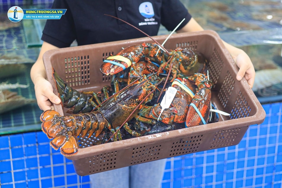 công thức làm tôm hùm alsaka nướng phô mai