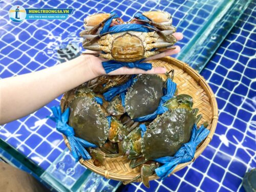 cua cà mau hà nội