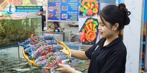 ghẹ xanh và ghẹ đỏ 2
