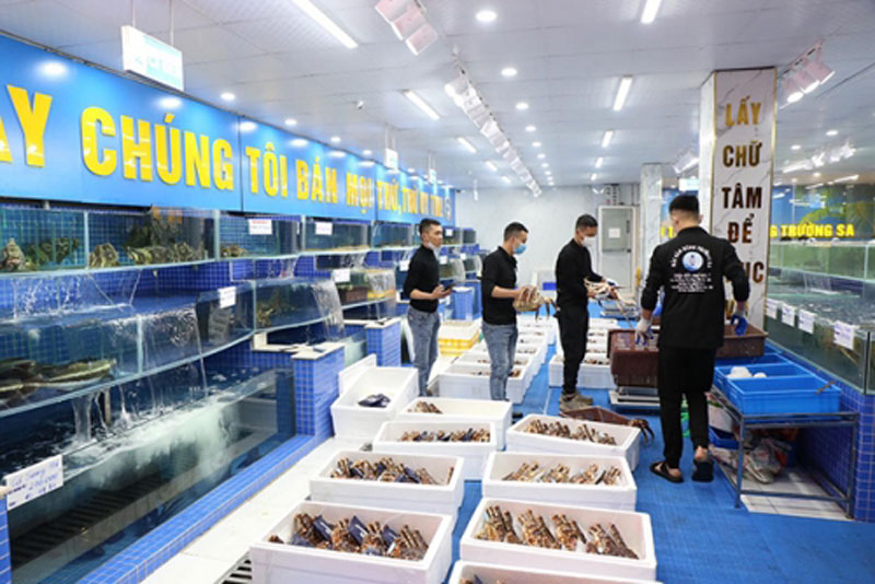 Chọn hải sản trực tiếp tại bể nhà hàng